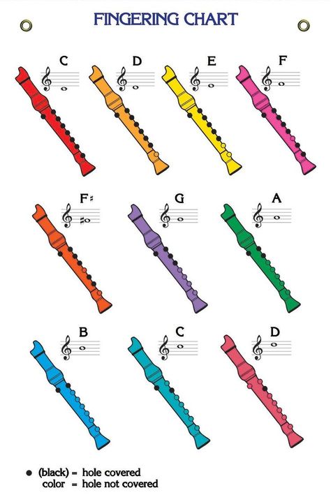 Recorder Songs, Music Basics, Music Theory Piano, Beginner Piano Music, Music Theory Lessons, Music Teaching Resources, Piano Music Lessons, Homeschool Music, Music Lessons For Kids