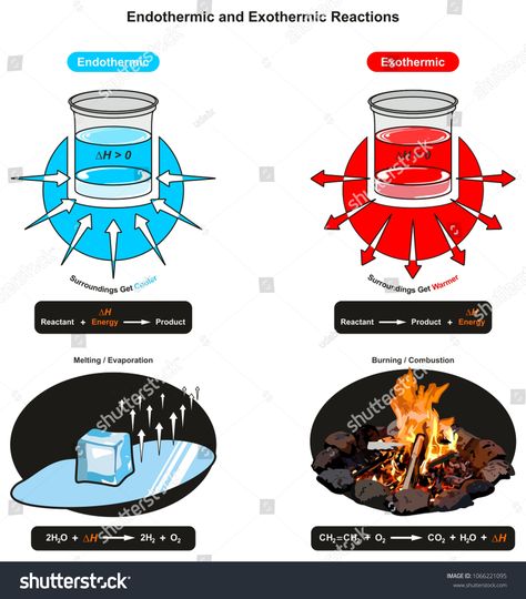 Endothermic and Exothermic Reactions infographic diagram showing relation between reactant energy and product also examples of ice cube melting and fire burning for chemistry science educationrelation#showing#energy#reactant Chemistry Lessons, Endothermic And Exothermic, Physical Science Projects, Infographic Diagram, Ice Cube Melting, Exothermic Reaction, Nuclear Fusion, Chemical Energy, Fire Burning