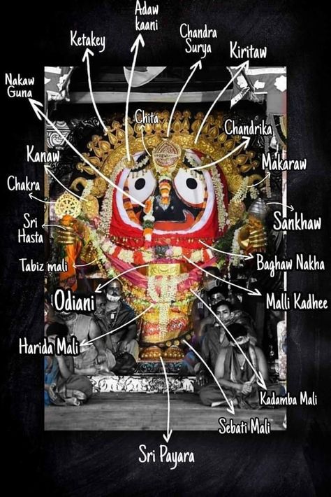 Jagannath Suna Besha, Jagannatha Beautiful Images, Shri Jagannath, Jai Jagannath, Buddhist Art Drawing, Lord Jagannath, Ancient History Facts, Indian History Facts, Krishna Book