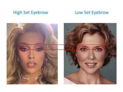 Why is a high set eyebrow more attractive than a low set among females? - PinkMirror Blog Hi Low Brows, High Eyebrows Makeup, High Eyebrows Arch, Round Arch Eyebrows, Makeup For Low Eyebrows, Low Brow Makeup, High Vs Low Cheekbones, Upward Eyebrows Shape, Thick Eyebrows Aesthetic