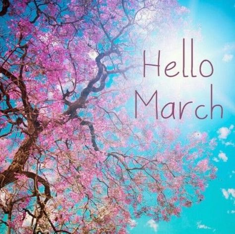 Bonjour Mars, Hello March Images, Hello March Quotes, March Images, March Quotes, Hello Greeting, Monthly Quotes, Photos For Facebook, Hello March