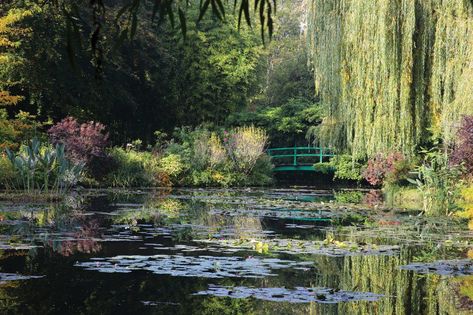 Monet Quilt, Pond With Bridge, Monet Japanese Bridge, Quince Blossom, Pond Aesthetic, Monet Wallpaper, Taman Vintage, Pond Photography, Claude Monet House