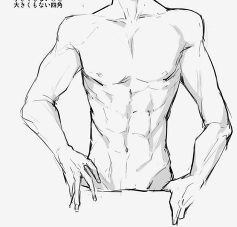 Male Porpotion Drawing, Male Hips Drawing, Bottom Male Drawing, 6 Pack Drawing Reference, Body Drawing Male Sketch, How To Draw Male Body Anatomy, Manhwa Body Reference, Muscular Man Art Reference, Male Atonamy Drawing