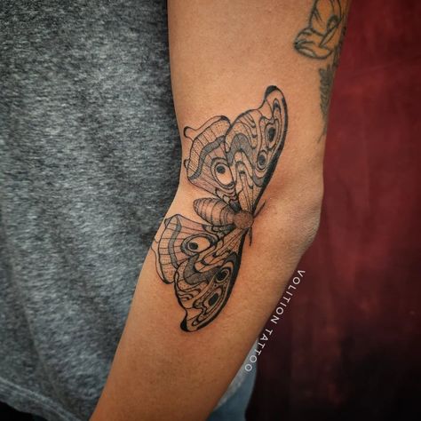 Moth tattoo on elbow Elbow Side Tattoo, Inner Elbow Butterfly Tattoo, Moth Tattoo In Elbow Crease, Moth On Elbow Tattoo, Luna Moth Tattoo Elbow, Moth Tattoo Design Elbow, Moth Tattoo Inner Elbow, Moth Tattoo On Arm Crease, Moth Snake Tattoo