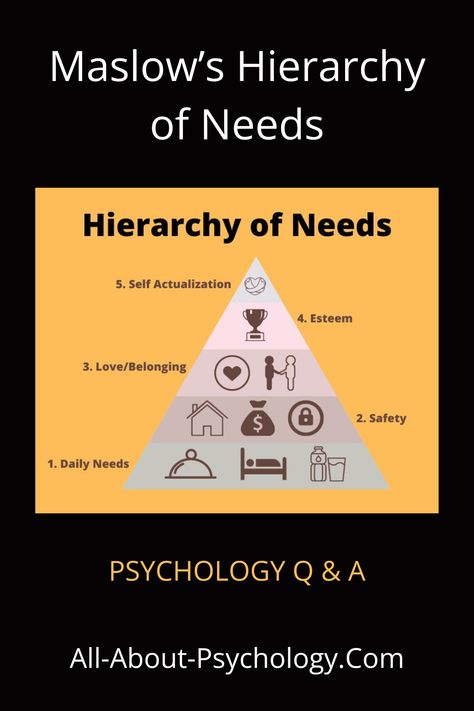 Maslow’s Hierarchy of Needs Maslow Hierarchy, Maslow’s Hierarchy Of Needs, Psychology Questions, About Psychology, Hierarchy Of Needs, Maslow's Hierarchy Of Needs, Abraham Maslow, Psychology Major, Psychology Student