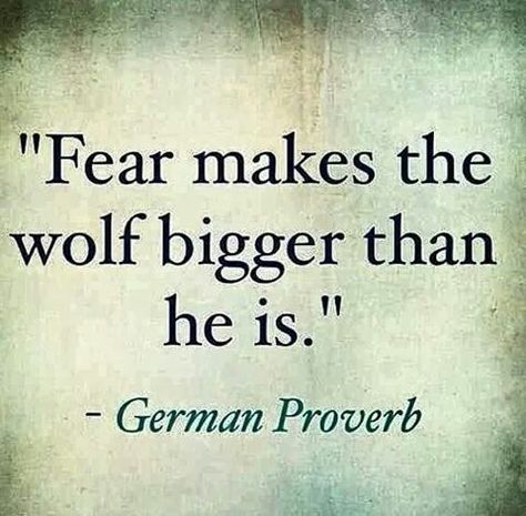 Sometimes psychological warfare is what actually wins the fight' Plant fear into the mind of the enemy and you will win the fight as well as the battle. Bold Style, Motivational Quotes For Success, The Wolf, Fashion Quotes, Quotable Quotes, A Quote, Wise Quotes, Great Quotes, Wisdom Quotes