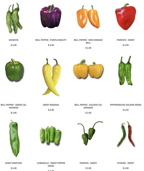 Like sweet peppers? We have lots of varieties of sweet chile peppers that are sure to please: www.sandiaseed.com/collections/sweet-pepper-seeds  #sandiaseed #seeds #pepperseeds Sweet Banana Peppers, Pepper Plant, Types Of Peppers, Best Chili, Hot Pepper Seeds, Hatch Chile, Orange Peppers, Sweet Pepper, Sweet Peppers