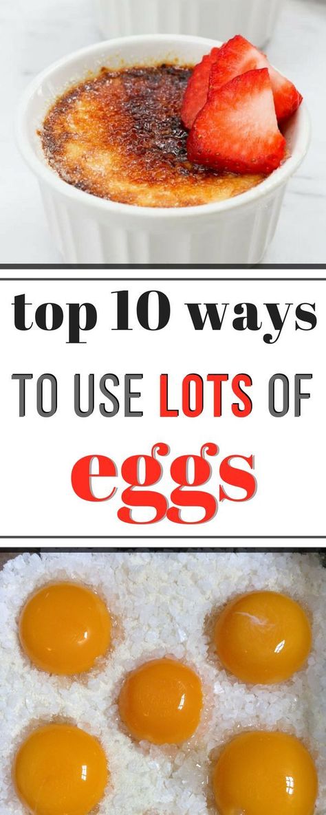 Top 10 Ways to Use Lots of Eggs Lots Of Eggs To Use, Using Up Eggs, Desserts Using Lots Of Eggs, Ways To Use Up Eggs, Recipe Using Lots Of Eggs, Recipes That Use A Lot Of Eggs, Egg Desserts, Freeze Eggs, No Egg Desserts