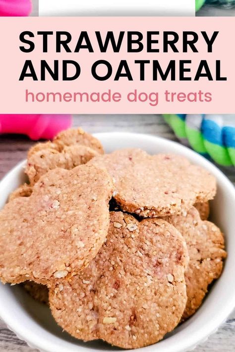 Oatmeal Dog Treats, Gluten Free Dog Treats, Dog Cookie Recipes, Dog Treats Recipe, Pet Treats Recipes, Dog Treats Homemade Easy, Easy Dog Treat Recipes, Strawberry Oatmeal, Dog Biscuit Recipes