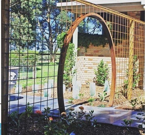 Moon Gate, Gate Ideas, Garden Vines, Garden Screening, Garden Area, Garden Yard Ideas, Garden Trellis, Deck Decorating, Garden Structures