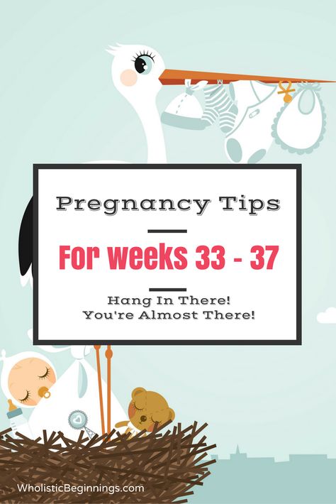 3rd Trimester, Newborn Essentials List, 5 Weeks Pregnant, Prenatal Nutrition, Positive Pregnancy Test, Pregnancy Nutrition, Second Trimester, Weeks Pregnant, Third Trimester