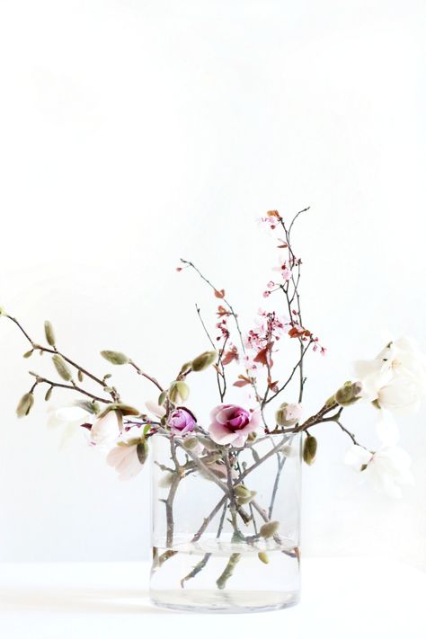 . Magnolia Tree, Magnolia Trees, Blossom Tree, Spring Bouquet, Cherry Blossom Tree, Magnolia Flower, Diy Décoration, Spring Blooms, Beautiful Blooms