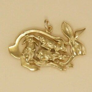 bunny rabbit with babies pendant in utero Baby Rabbits, Rabbit Jewelry, Rabbit Charm, Sterling Pendant, Jewelry Lookbook, Body Jewellery, Jewelry Inspo, Gold Filled Chain, Birthstone Ring