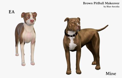 Brown PitBull Makeover (first version) Here is Willow, She is an adorable, energetic, playful dog. She would adapt very well in a family with children and other animals. Take good care of her. cc used: . eyes by @cakenoodles recolored by me (I added a few more colors) . dogs nails by @sims4nexus . collar retextured by me, you need @cakenoodles mesh  Download Willow here . do not reupload . do not claim as your own . please give credits if you post pictures (@blue-ancolia) . have fun !  :D c Sims 4 Dog Overlay, Sims 4 Dog Download, Sims 4 Dog Cc, Blue Ancolia, Sims 4 Dog, Sims 4 Pets Mod, Brown Pitbull, Sims Car, The Sims 3 Pets