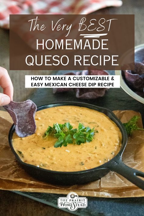 Mexican Cheese Dip Recipes, Homemade Queso Recipe, Queso Recipe Easy, Best Queso Recipe, Homemade Cheese Dip, Mexican Cheese Dip, Queso Cheese Dip, Homemade Queso, Cheese Dip Mexican