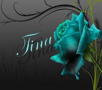 Tina Turquoise Rose, Rose Pictures, 3d Rose, Shades Of Turquoise, Aqua Turquoise, Bleu Turquoise, Blue Roses, Rose Art, Love Rose