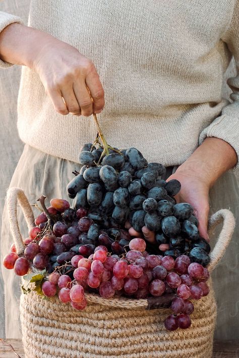 Grape Bowl, Harvest Basket, Grape Harvesting, Hand Photo, Hands Holding, Balanced Meals, Grape Juice, Fine Food, Culinary Arts