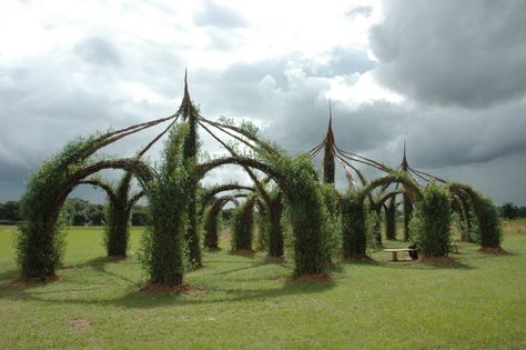 Living willow Willow Dome, Willow Fence, Living Willow, Living Fence, Willow Weaving, Areas Verdes, Garden Structures, Land Art, Natural Living