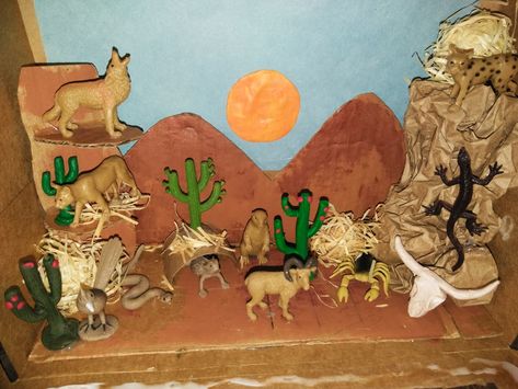 Diorama Desert Coyote Habitat Project, Desert Diarama Ideas, Desert Diorama Ideas For Kids, Desert Biome Project Ideas, Habitat Diorama Project, Ecosystems Diorama, Weather Printables, School Projects Ideas, Biome Project