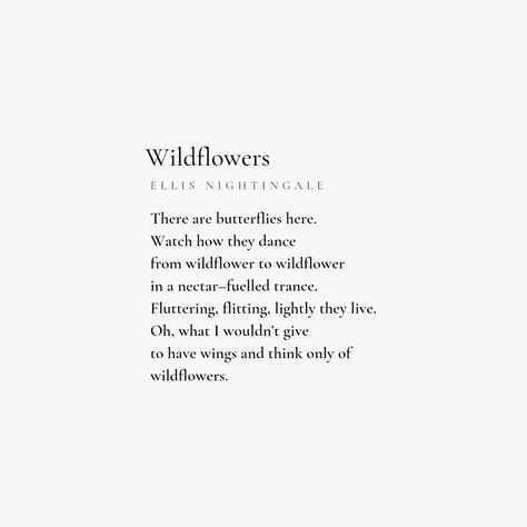 Wildflowers • Poem by Ellis Nightingale Wildflower Meaning, Wildflower Poems, Wildflower Poem, Althea Davis Poem, Quotes About Wildflowers, Wild Flower Lyrics, Wildflower Poetry, Ellis Nightingale Poetry, Poem About Wildflowers