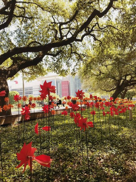 1,600 Colorful Pinwheels Were Planted Along The Promenade At Discovery Green And It Looks Stunning Conference Design, Interactive Installation, When I Die, Art Installation, Art Appreciation, Installation Art, Happy Places, Allergies, Plants