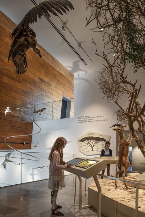 The Steinhardt Museum of Natural History,© Amit Geron History Museum Design, Museum Interior Design Exhibitions, Interactive Museum Display, Diorama Museum, Museum Interpretation, Museum Interior Design, Nature Exhibition, University Interior, University Interior Design