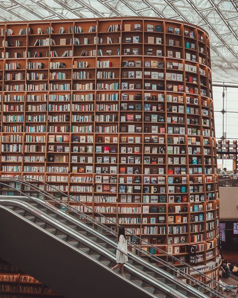 Starfield Library Seoul Korea Library Aesthetic, Coex Library Seoul, Starfield Library Seoul Photoshoot, Seoul Library Aesthetic, Starfield Library Seoul Aesthetic, Korean Library Aesthetic, Seoul Instagram Pictures, Seoul Library, Korea Library