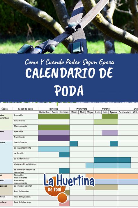 Calendario De Poda Como Y Cuando Podar Tus Plantas Arbustos Y Arboles Farm Projects, Creative Gardening, Green Life, Permaculture, Science And Nature, Herb Garden, Urban Garden, Vegetable Garden, Patio Garden