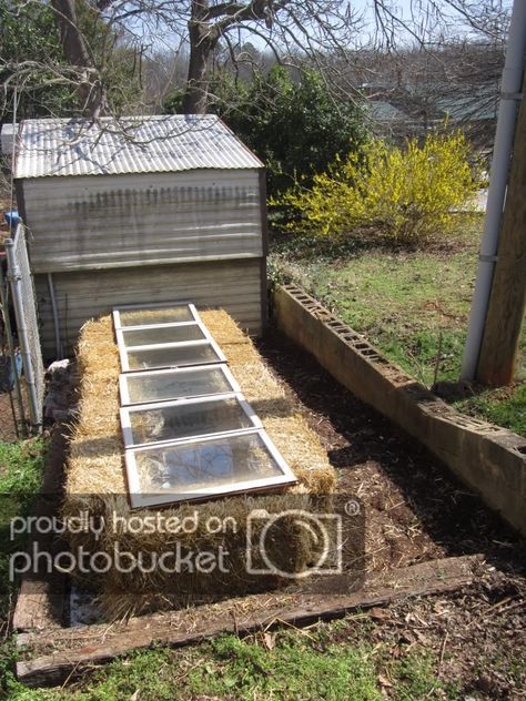 finished straw bale cold frame Serre Diy, Outdoor Greenhouse, Greenhouse Plans, Hay Bales, Diy Greenhouse, Garden Greenhouse, Homestead Survival, Cold Frame, Garden Bed