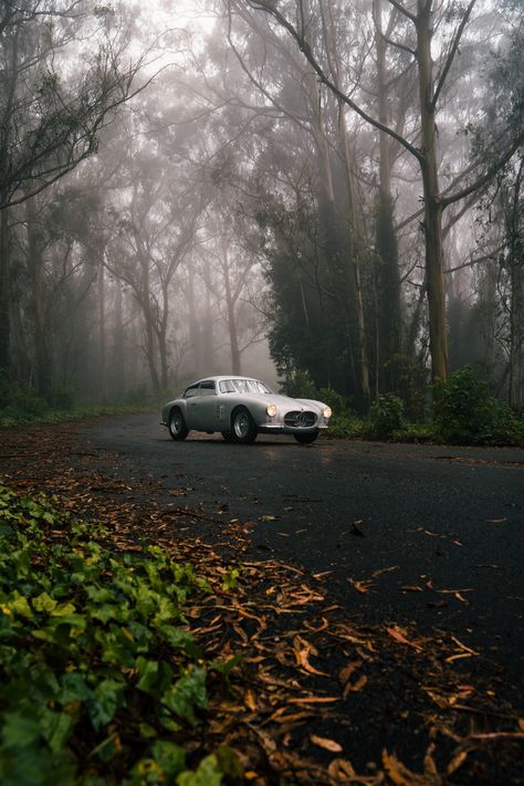 Maserati A6G 2000 Berlinetta Zagato (1956) Images by Karissa Hosek Car Panning Photography, Artistic Car Photography, Car Nature Photography, Classic Cars Photography, Cars In Nature, Automotive Lifestyle Photography, White Car Photography, Car Photography Settings, Cool Car Photography