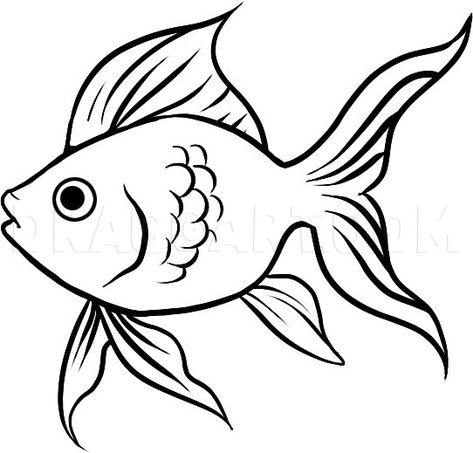 How To Draw A Goldfish, Step by Step, Drawing Guide, by Dawn - DragoArt Easy Fish Drawing, Fish Outline, Fish Sketch, Image Of Fish, Fish Template, Drawn Fish, Fish Drawing, Fish Coloring Page, Cartoon Fish