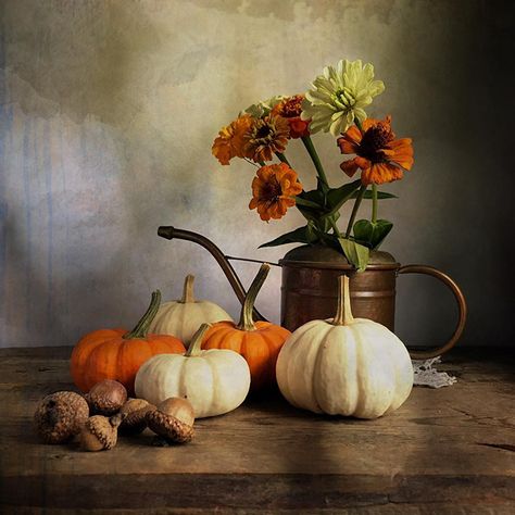 Autumn Still Life Photography, Halloween Still Life, Fall Still Life, Autumn Still Life, Easy Clay Sculptures, Still Life Pictures, Life Drawing Reference, Autumn Orange, Beautiful Landscape Photography