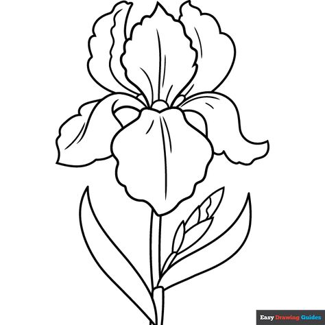 Iris Flower Coloring Page | Easy Drawing Guides Iris Flower Stencil, Iris Flower Drawing Outline, Iris Flower Outline, Iris Flowers Drawing Easy, Iris Flower Drawing Simple, Iris Drawing Simple, Iris Drawing Flower, Iris Drawings, Iris Outline