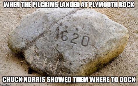 Chuck Norris Memes, November Ideas, Plymouth Rock, Healthy Living Quotes, Teaching History, Chuck Norris, Rock Formations, May Flowers, Vintage Photographs