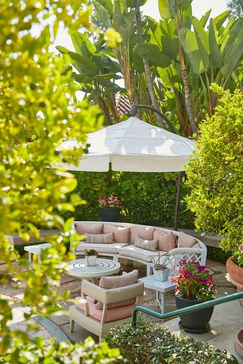 Our citrus garden is the perfect place to relax and soak up the California sunshine. Citrus Garden, The Beverly Hills Hotel, Sunset Boulevard, Beverly Hills Hotel, Hotel Luxury, Past And Present, Take A Seat, 5 Star Hotels, Luxury Hotel