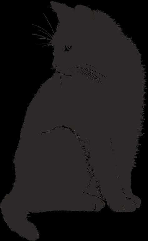 Cat, Shadow, Silhouette, Black, Animal Silhouette Chat, Kitty Tattoos, Black Cat Drawing, Draw Cats, Cat Shadow, Shadow Silhouette, Black Cat Art, A Black Cat, Cat Artwork