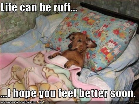 www.i hope you feel better.com | Life can be ruff... ...I hope you feel better soon. Feel Better Meme, Feel Better Funny, Get Well Soon Quotes, Hope Youre Feeling Better, Get Well Messages, Feel Better Quotes, Feel Better Soon, Get Well Quotes, Get Well Wishes