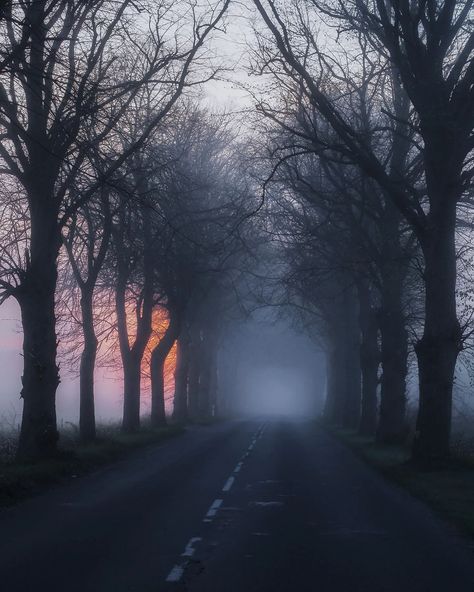 . Road to nowhere . #moodyscenery #the_mirror_of_our_souls #folkscenery #folknature #darknature #atmospheric #trees_of_darkness #poland… | Instagram Moody Images, Road To Nowhere, To Be, On Earth, Poland, Landscaping, Road, Architecture, On Instagram