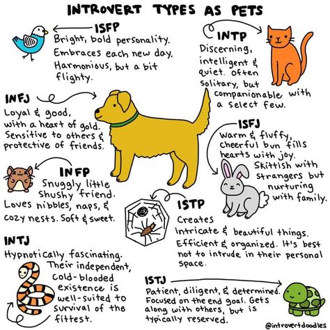 Humour, Infj Thoughts, Infj Personalidade, Personality Test Quiz, Horned Serpent, Personalidad Infj, Mbti Intp, Character Test, Isfj Personality