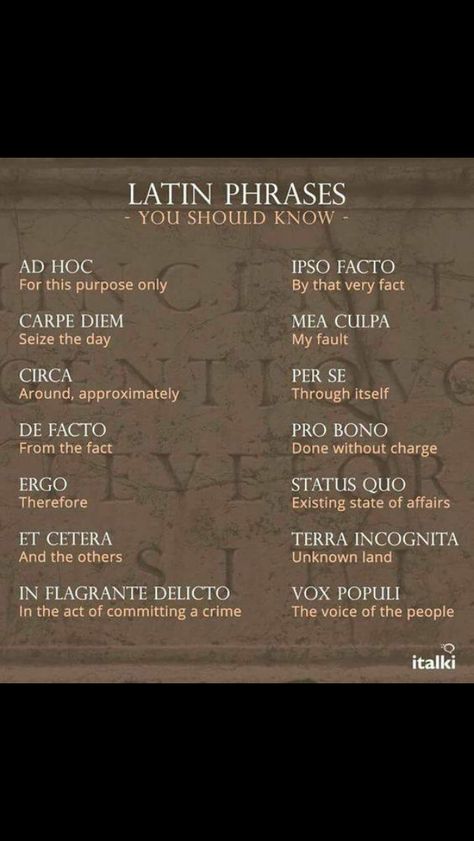 Latin Word Tattoos, Latin Phrase Tattoos, Latin Quote Tattoos, Latin Tattoo, Word Meanings, Phrase Tattoos, Latin Quotes, Latin Language, Unique Words Definitions