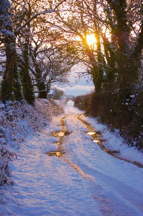 Winter sunset on a country road (no location given) by Sharon Jones-Williams Winter Sunset, Winter Love, Airbrush Art, Winter Magic, Winter Scenery, Winter Beauty, Snow Scenes, Winter Pictures, Winter Wonder