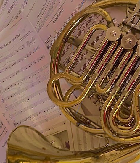 French Horn Aesthetic Wallpaper, French Horn Wallpaper, Kyla Aesthetic, French Horn Aesthetic, Horn Aesthetic, Nate Aesthetic, Instrument Aesthetic, Orchestra Aesthetic, Horn Instrument