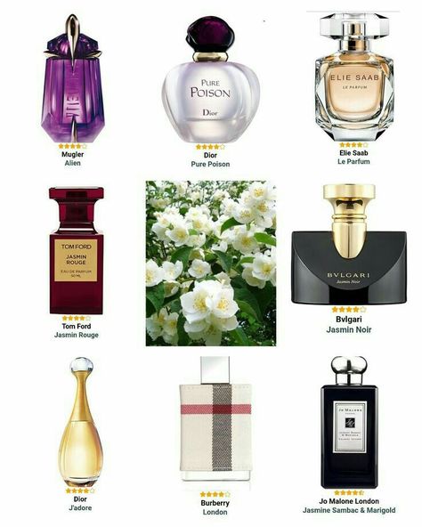 Dior Pure Poison, Koleksi Makeup, Jasmine Perfume, Fragrance Lab, Jasmine Fragrance, Pheromone Perfume, Perfume Display, Fragrances Perfume Woman, Perfume Floral