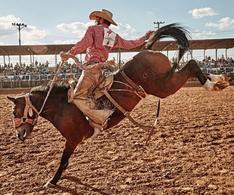 Bronc Riding Aesthetic, Ranch Bronc Riding, Cowboy Poses, Rodeo Pictures, Saddle Bronc Riding, Rodeo Quotes, Ranch Photography, Bronc Rider, Dude Ranch Vacations