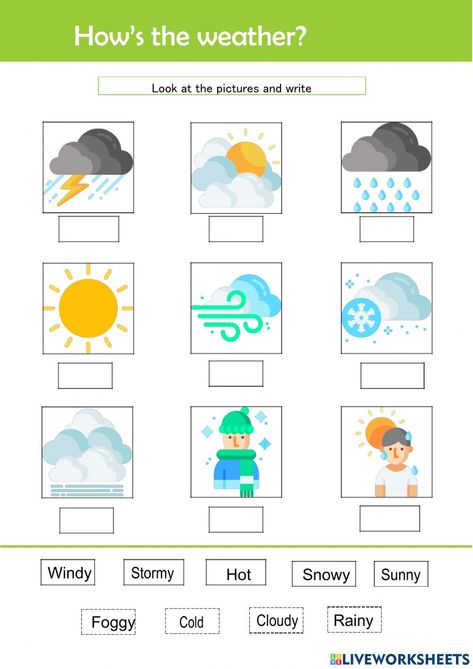 Weather Esl, Weather Worksheets, Weather Vocabulary, Seasons Months, Esl Vocabulary, English Worksheets For Kids, English As A Second Language (esl), English Worksheets, English As A Second Language