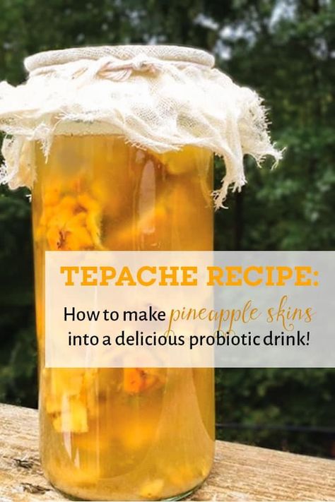 Tepache recipe: how to turn pineapple skins into a delicious probiotic drink Fermented Pineapple, Pineapple Kombucha, Tepache Recipe, Kombucha Recipe, Probiotic Drinks, Fermentation Recipes, Nutrition Plan, Fermented Drink, Probiotic Foods