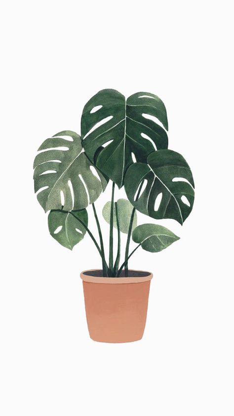 Plant Wallpaper, Monstera Plant, Plant Painting, Plant Drawing, Plant Illustration, Art And Illustration, Plant Art, Drawing Techniques, Botanical Illustration