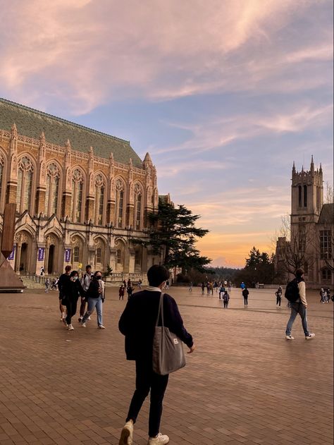 Uw College Aesthetic, University Of Washington Seattle Aesthetic, Suzzalo Library, Uw Aesthetic, College Gothic, Uw Library, Uw Seattle, Seattle Aesthetic, College Vision Board