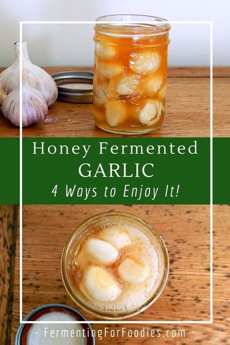 Honey Fermented Garlic, Fermented Garlic Honey, Eating Raw Garlic, Fermented Garlic, Fermented Honey, Garlic Honey, Fermented Veggies, Fermentation Recipes, Raw Garlic