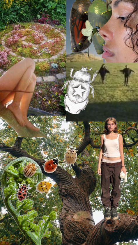 Dreamlife Aesthetic, Nature Hiking, Black Eyed Susan, Eye Black, Santa Monica, Dream Life, Bugs, Mood Board, Hiking